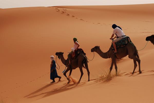 Camel Trekking Erg Chebbi